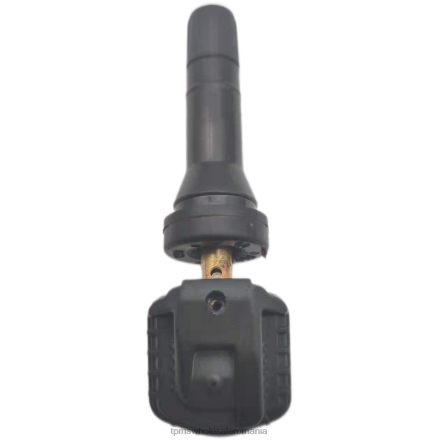 tpms jianghuai senzorul de presiune b00019849 433mhz Oem TPMS Sensor T84P1760