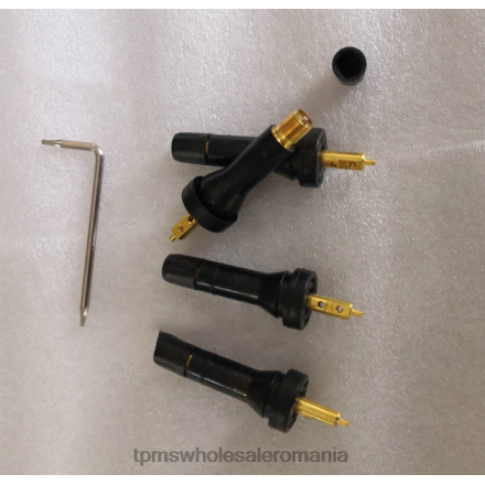 tpms rongwei senzor presiune anvelope 10718213 TPMS Senzor Cena T84P1257